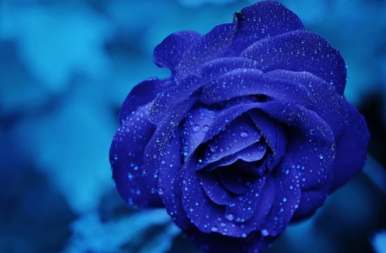 六一儿童节祝福语简短唯美2025