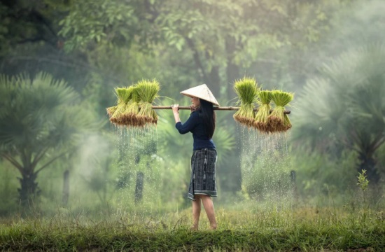 搞笑可爱独特网名女生