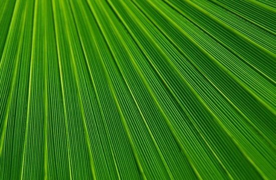 鸡年送领导的祝福语59句 鸡年送领导的祝福语59句