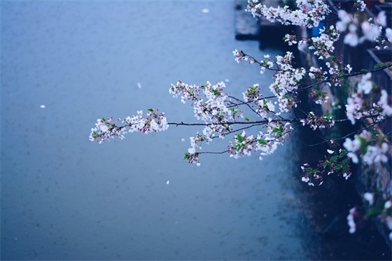 人闯荡孤独的句子