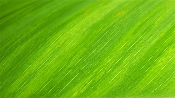 最有文化的网名(精选215个)
