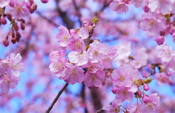 适合光棍节发的文案句子