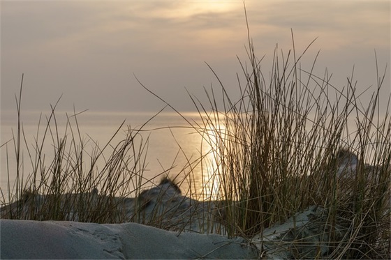 对爱无法自拔的情感女生网名(精选132个) 对爱无法自拔的情感女生网名(精选132个)