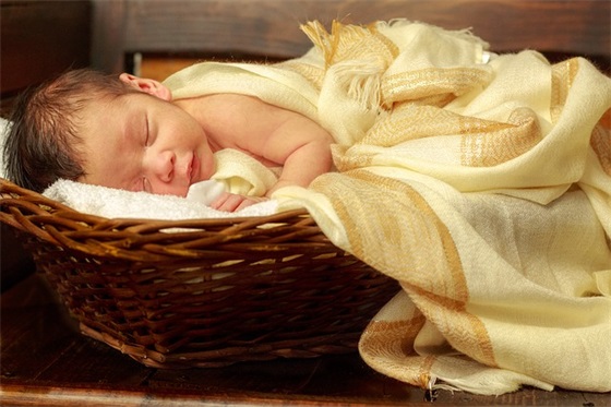 女生经典简单网名大全(共187个) 女生经典简单网名大全(共187个)