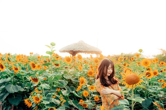 2025赞美教师节优美句子 2025赞美教师节优美句子