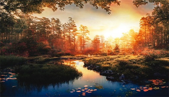 愿往后余生的说说句子