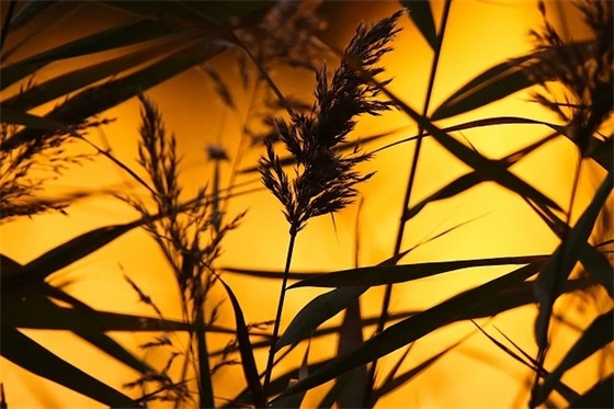 蓝天白云的微信网名