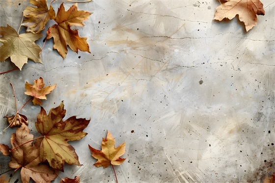 忧伤的句子大全