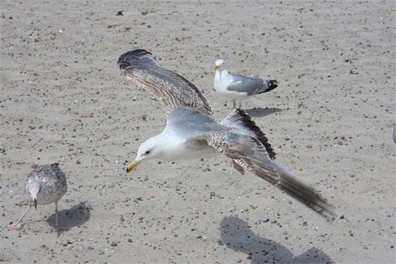 对男人失望的句子88句