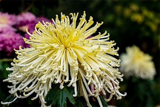 无法诉说的委屈的句子 心中委屈的心情句子