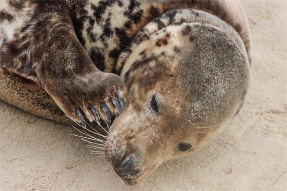 优美的句子50字左右