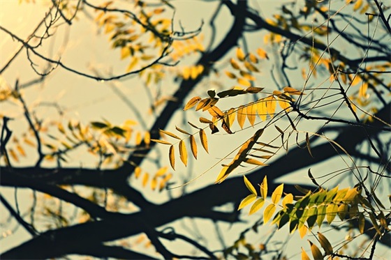 高级讽刺人虚伪的句子 高级怼人的话短句