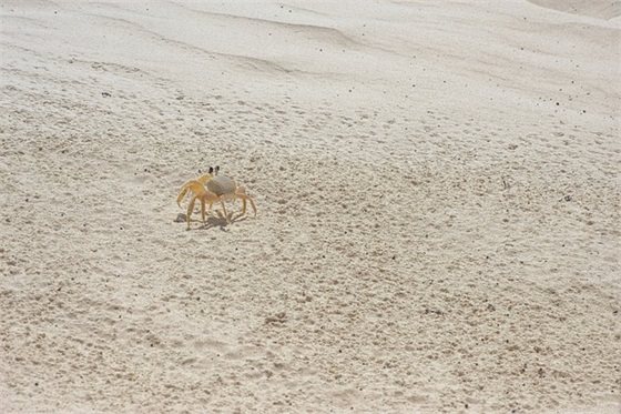 女人奋斗励志的句子
