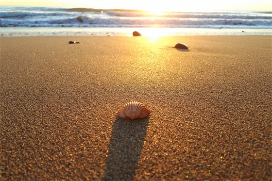 2025年霸气拉风句子120句 2025年霸气拉风句子120句