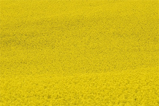 1213国家公祭日文案句子