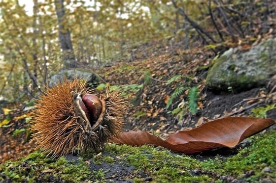晚上失眠想念人的伤感句子