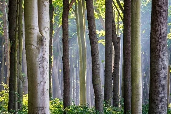 教师节写给老师暖心祝福句子2025年 教师节写给老师暖心祝福句子2025年