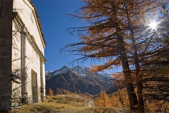 赞美人的句子 赞美人的优美句子 赞美人的句子 赞美人的优美句子