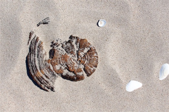祝男士事业有成的句子(关于事业有成的霸气句子)