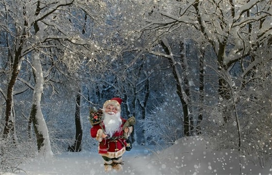 关于喜欢一个人的说说 喜欢一个人的说说暖心的句子