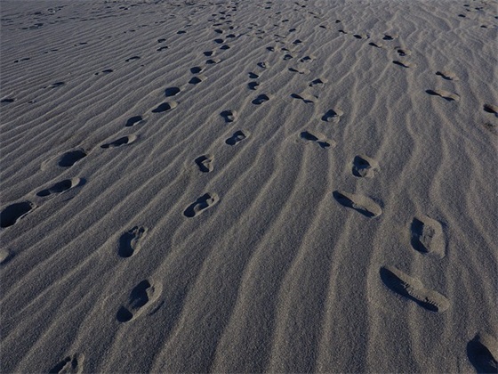 女性英文名 独特好听