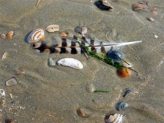 关于等待爱情的句子