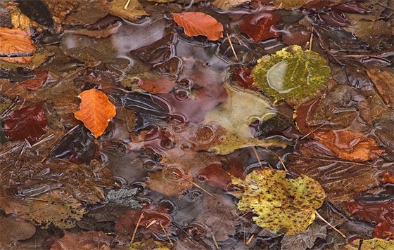 霸气的游戏名字600个