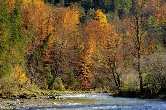 带三杯酒的网名