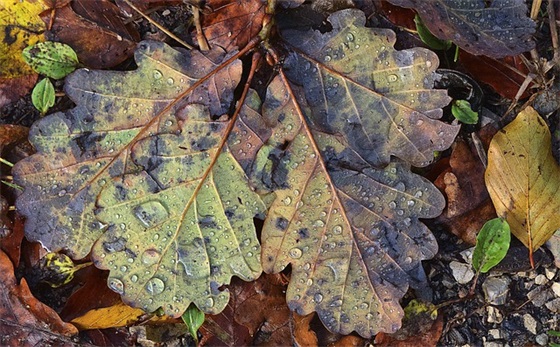 带数字五行的网名