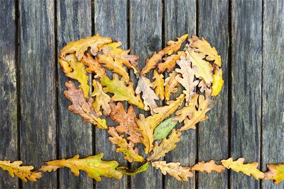 带于字的成语网名 带于字的成语网名