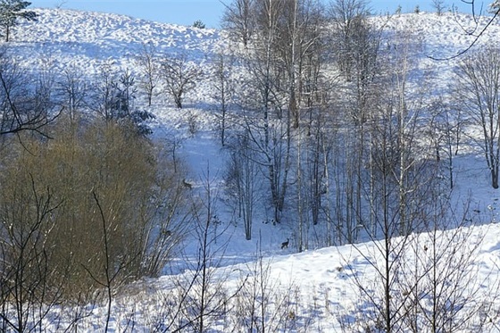 适合发朋友圈的有关自责的经典句子通用40条