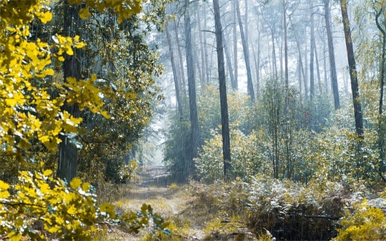 十八岁送给自己的唯美励志句子摘录