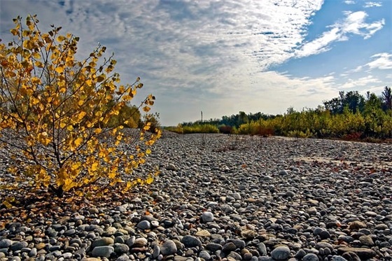超甜的情人节浪漫土味情话句子通用六十句