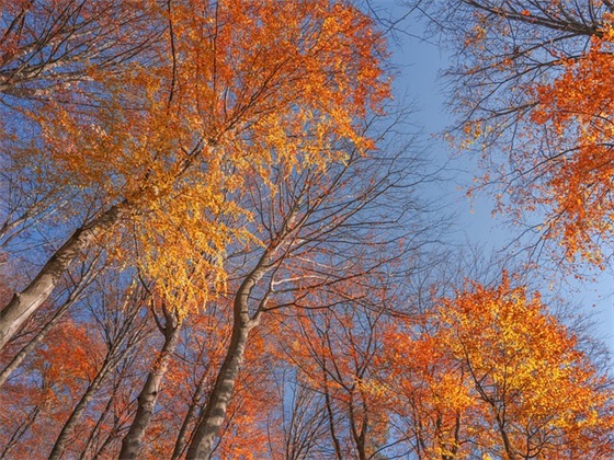 端午节的祝福语句简单35句