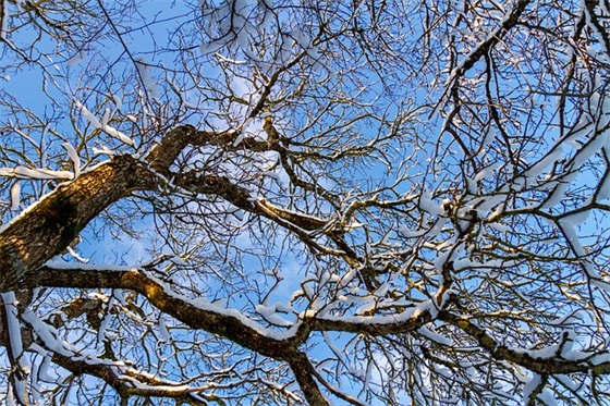 新年快乐给老师说祝福语 给老师发新年快乐祝福