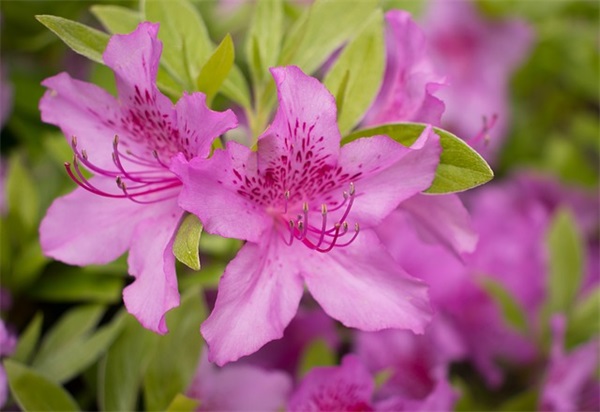 考试祝福语简短八个字高考(考试红包祝福语简短4字句) 考试祝福语简短八个字高考(考试红包祝福语简短4字句)