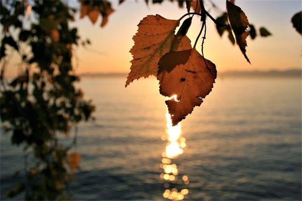 侄女祝舅舅生日快乐祝福语60大寿 侄女祝舅舅生日快乐祝福语60大寿