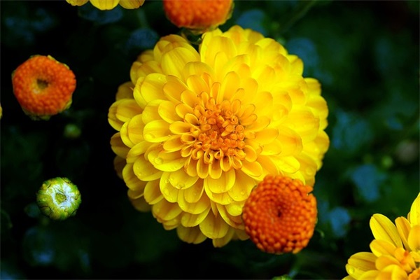 同事生宝宝祝福语37句 同事生宝宝祝福语37句