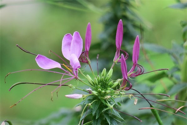 描写感悟人生的唯美句子