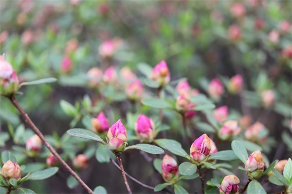 唯美离开句子71句(离别祝福的句子唯美简短)