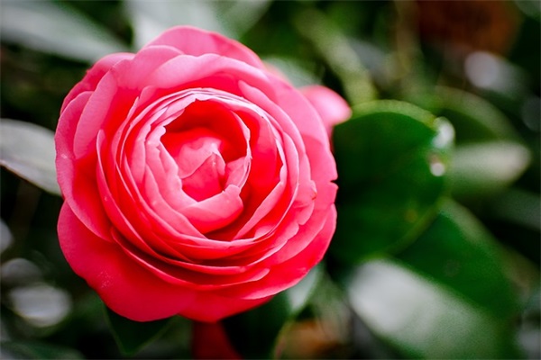 用四季更替描写时间飞逝的优美文案 (通用60句) 用四季更替描写时间飞逝的优美文案 (通用60句)