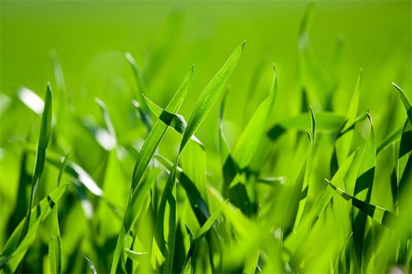 女朋友不理我文案50条