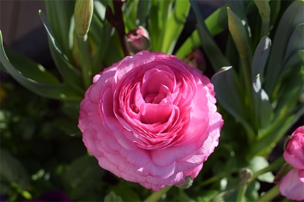 英语商务祝福语60句 英语商务祝福语60句