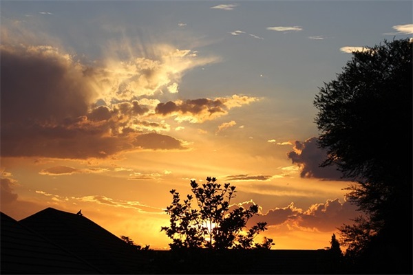 爸爸生日祝福语简短