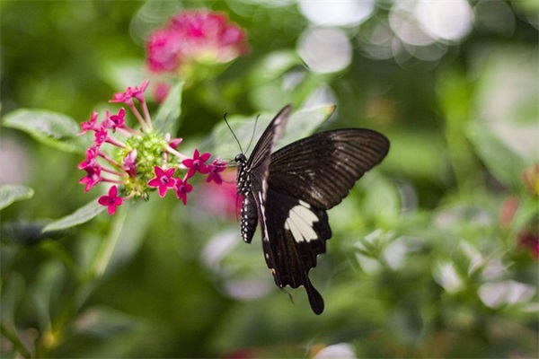 发给同学的祝福语30句