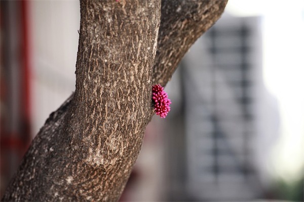 关于2026年给朋友的青年节祝福语精选