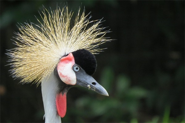 中秋祝福赠言送员工