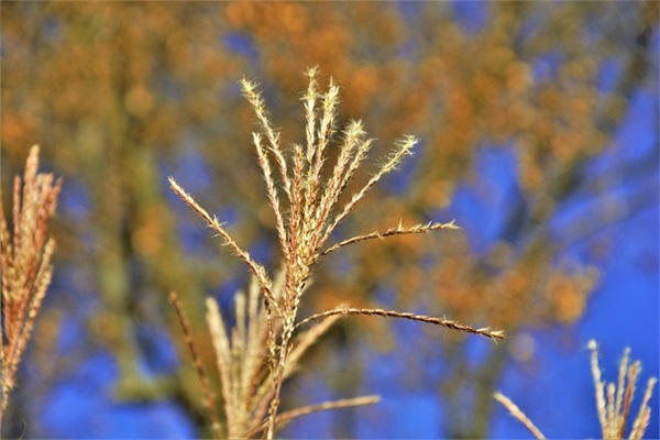 2026学生高考的祝福语 2026学生高考的祝福语