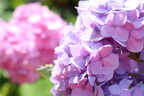 股市祝福语大全39句 股市祝福语大全39句