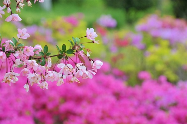 久伴情侣的网名昵称